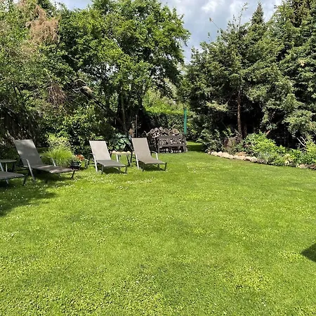 Sommerwiese * Lübbenau