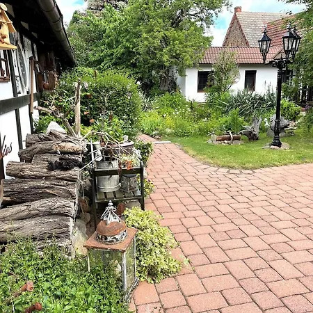 Sommerwiese * Stennewitz