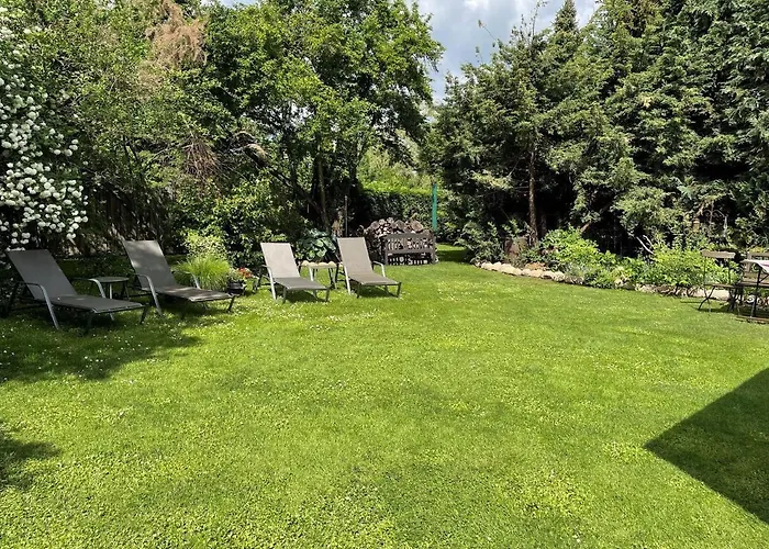 Sommerwiese * Stennewitz