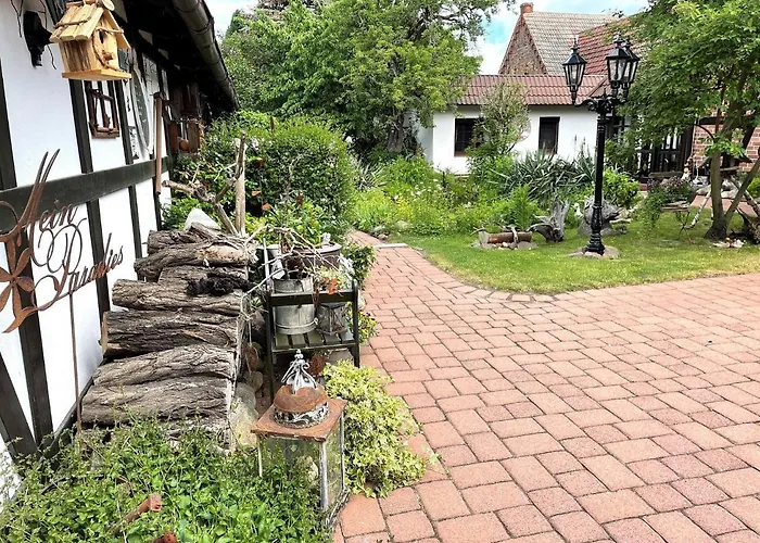 Sommerwiese * Stennewitz